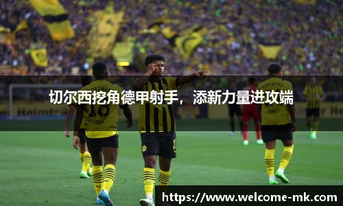 切尔西挖角德甲射手，添新力量进攻端